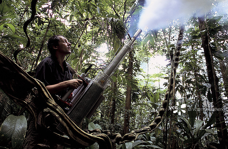 圣洛伦索森林朱鹭项目图片素材