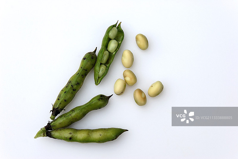 豆科植物的绿色豆荚和白色谷粒工作室图片素材