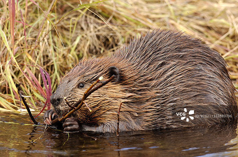 木屋建筑图片素材