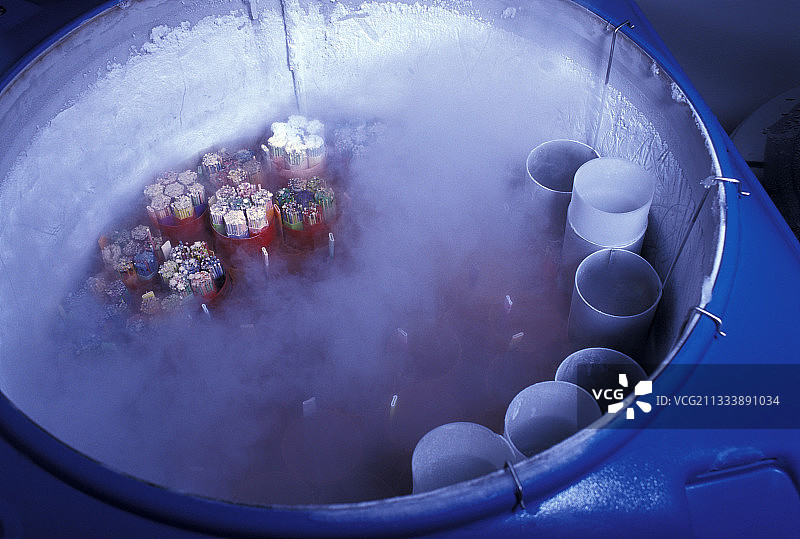 体外受精图片素材