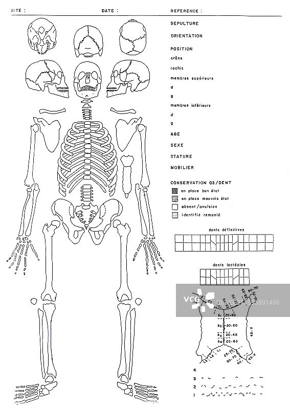 拟人化文件图片素材