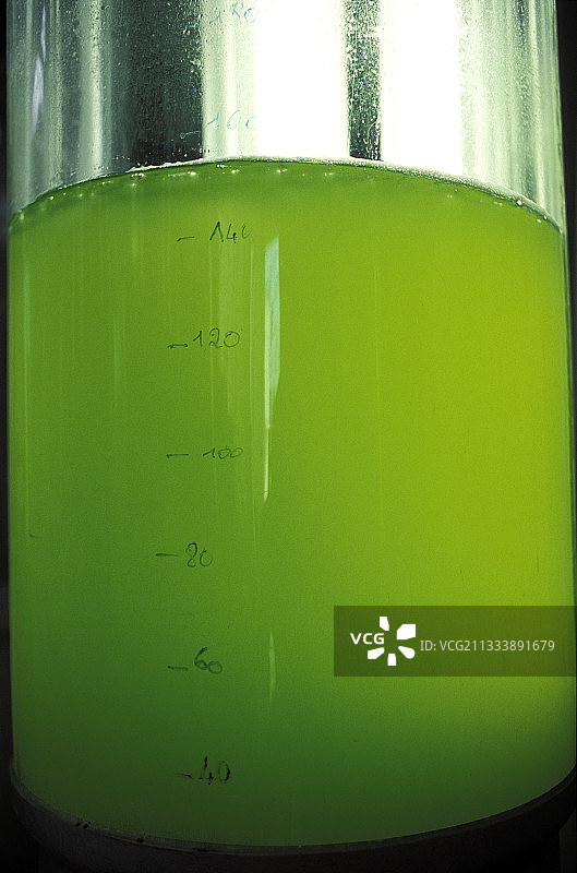 法国螺旋藻生产图片素材