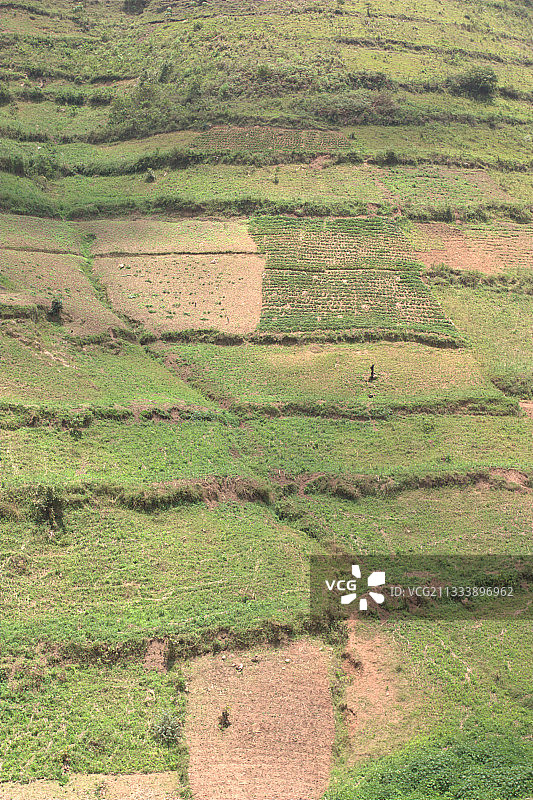 乌干达西南部的耕地山丘图片素材