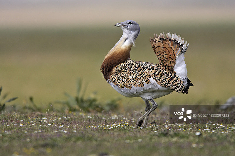 卡塞雷斯城市风光图片素材