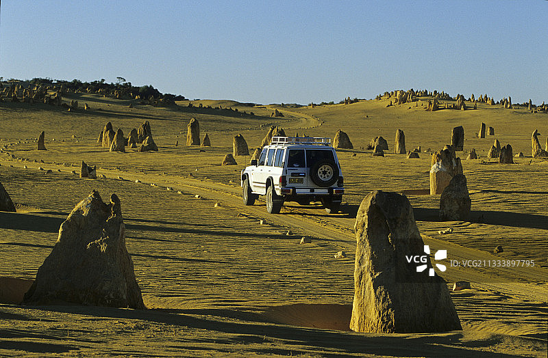 澳大利亚南邦国家公园的尖峰石阵图片素材