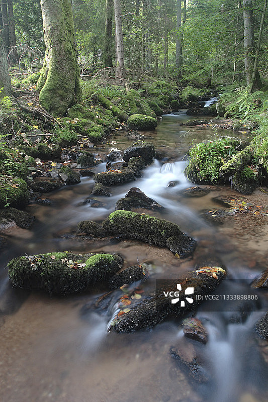 地点：马格尔图片素材