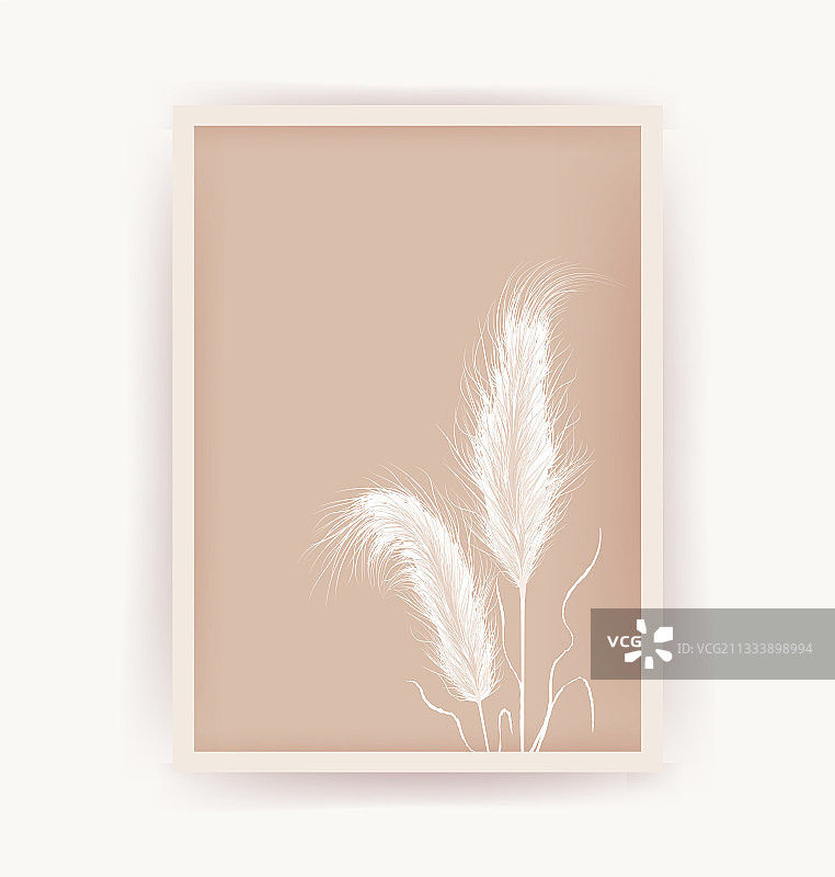 自然干燥的蒲苇草海报图片素材