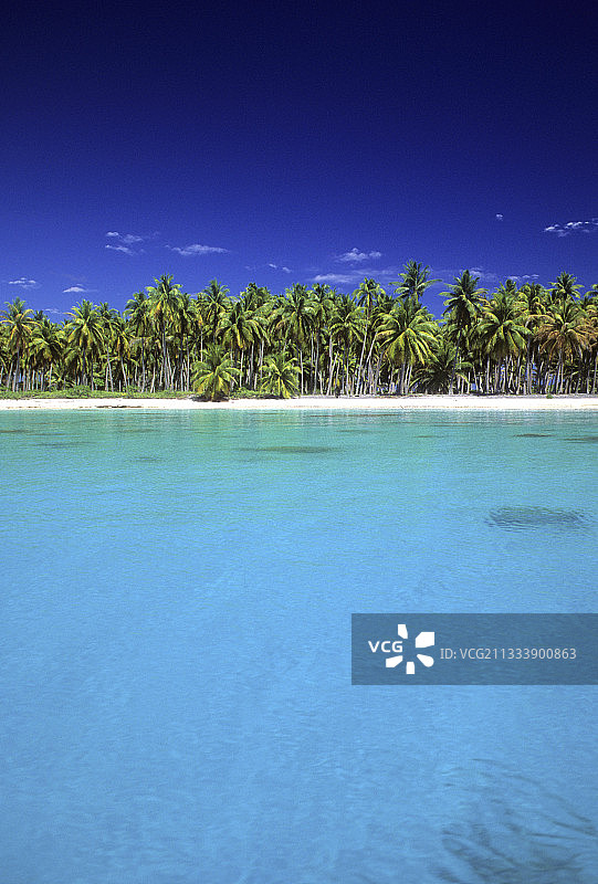 图阿莫图群岛波利尼西亚的托奥岛和泻湖图片素材