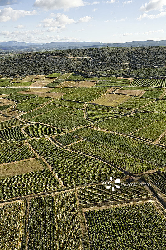 法国穆尔山朗格多克葡萄园图片素材
