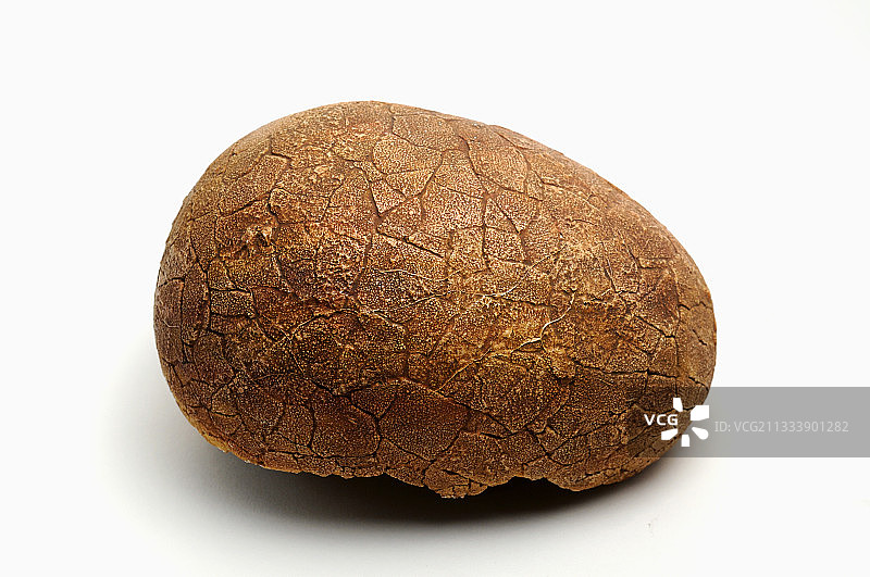 森特海姆地质博物馆图片素材