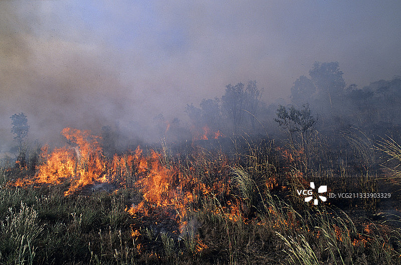 澳大利亚卡卡杜国家公园的森林火灾图片素材