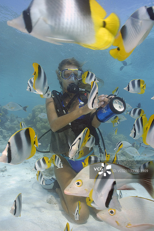 法属波利尼西亚杜阿莫图，潜水员与蝴蝶鱼图片素材