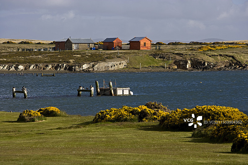 东福克兰群岛达尔文地区图片素材