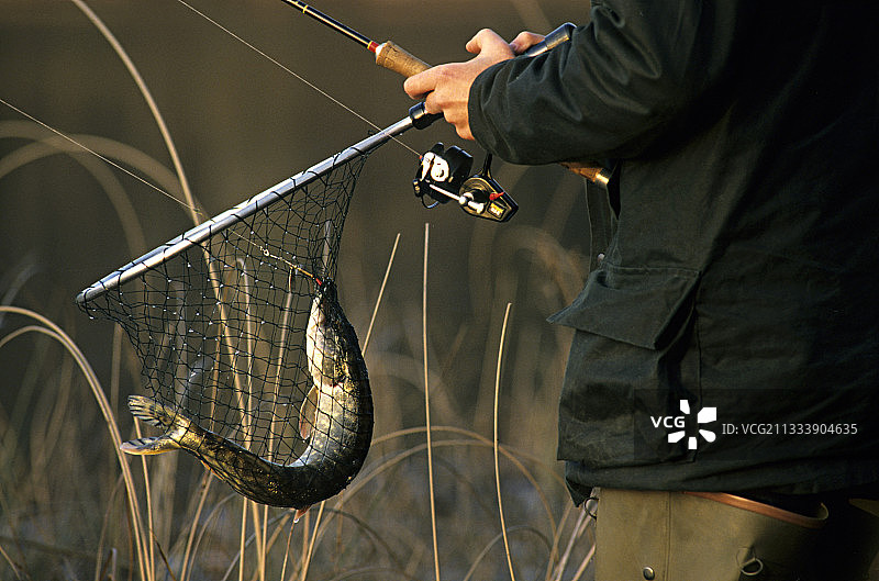 用勺子钓鱼图片素材