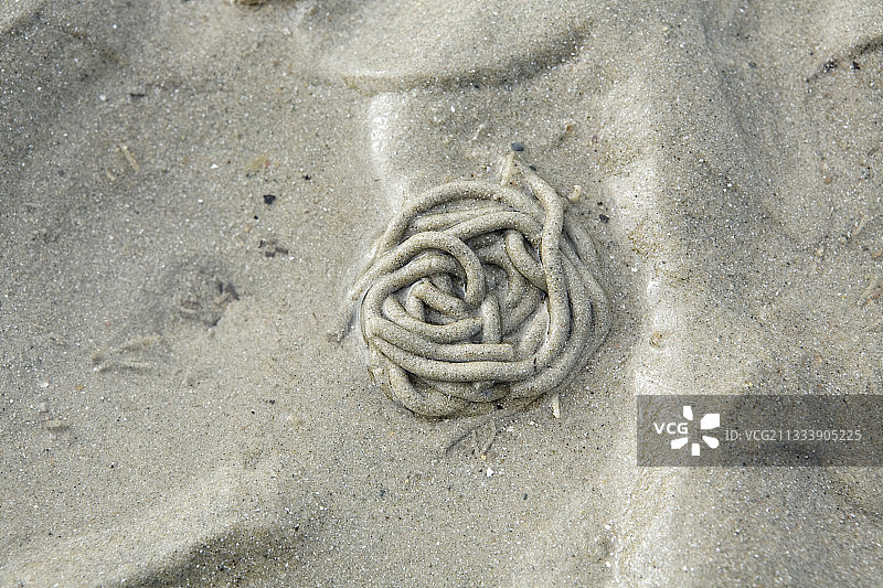 法国普卢格雷斯康特沙滩上的沙虫粪便图片素材