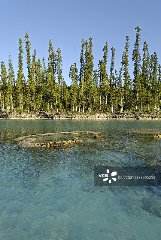 新喀里多尼亚松岛的珊瑚礁图片素材