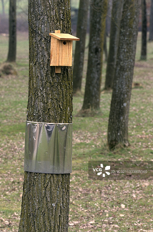 防止捕食者的保护图片素材