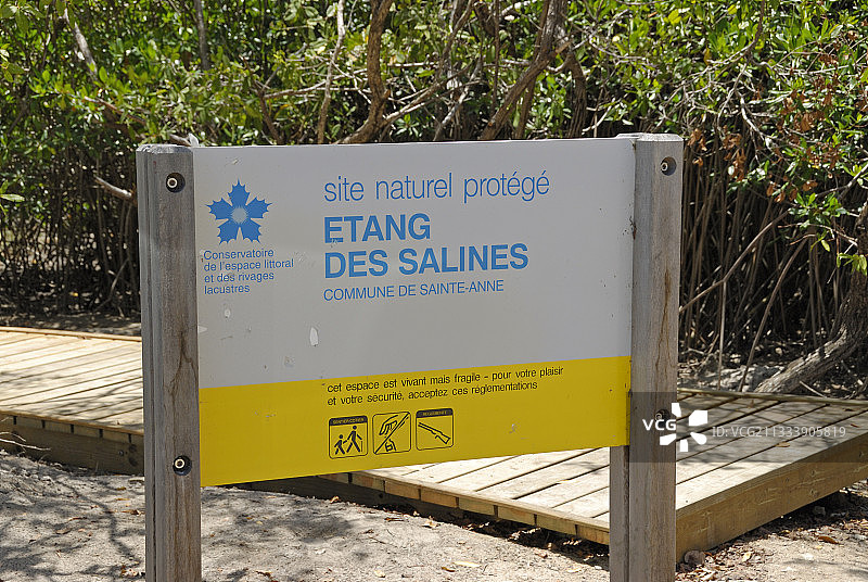 马提尼克岛萨利内斯池塘的受保护区域图片素材