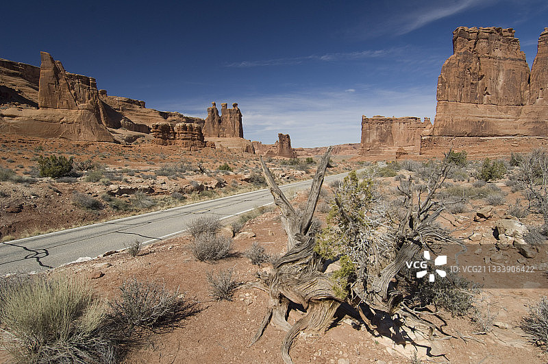美国拱门国家公园景观图片素材