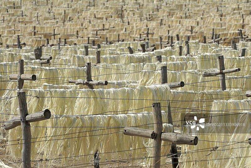 马达加斯加阳光下晒干的剑麻纤维图片素材
