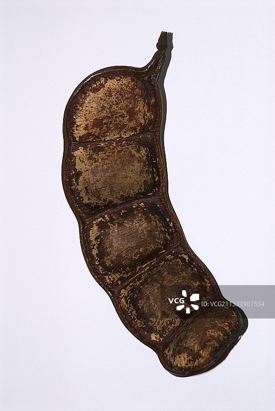 巨型尼克豆荚图片素材