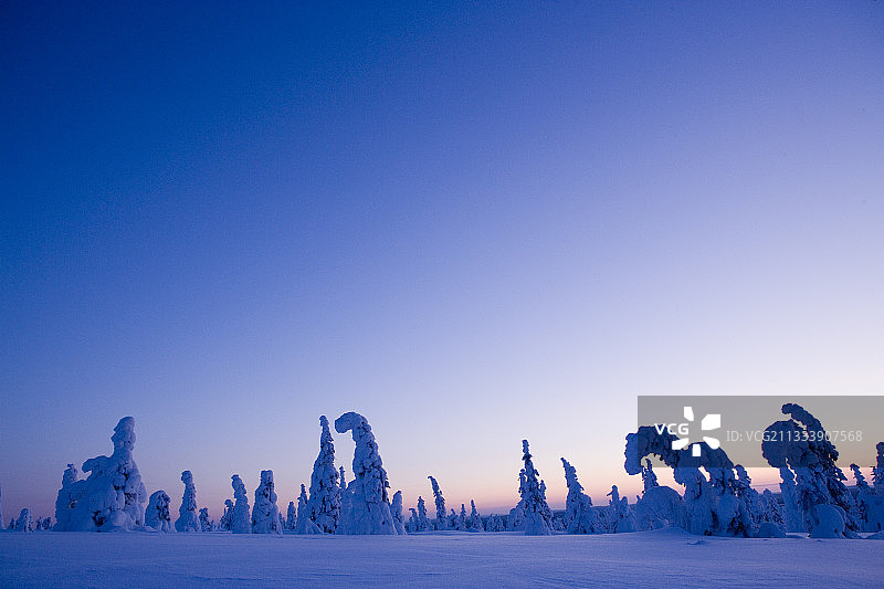 冬季芬兰里西通图里国家公园的日落图片素材
