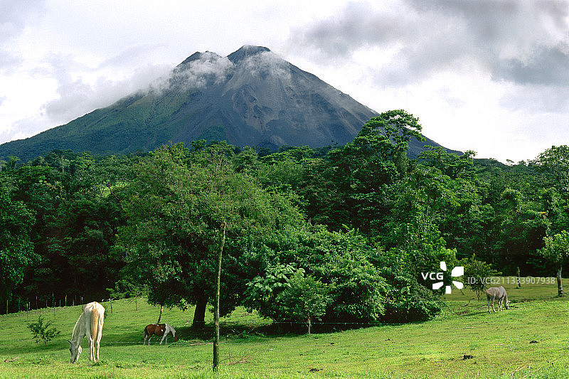 哥斯达黎加阿雷纳尔火山脚下的农业图片素材