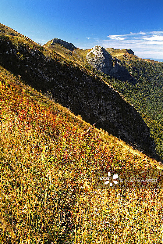 康塔尔山脉的高山草甸，法国图片素材