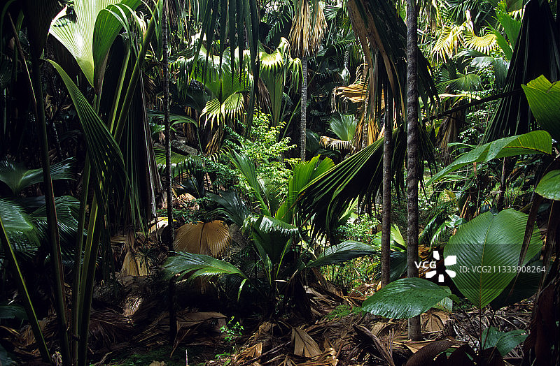 普拉兰岛的位置图片素材