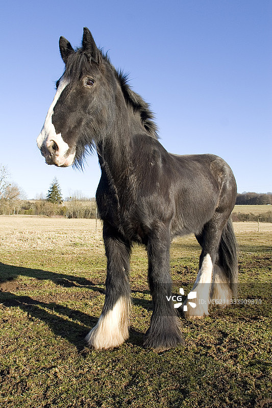 夏尔马，法国上索恩省图片素材