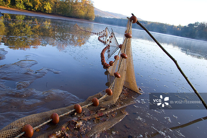 贝尔福地区池塘排水和铺设渔网，法国图片素材
