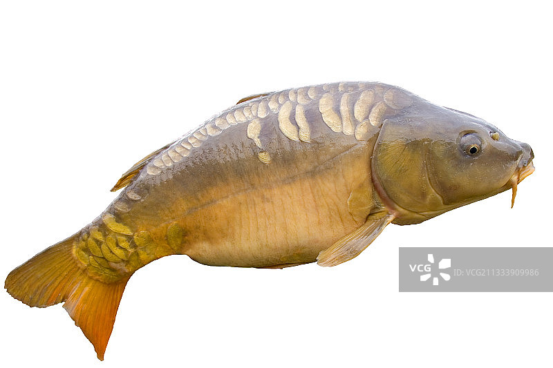 贝尔福地区卡尔佩镜子图片素材