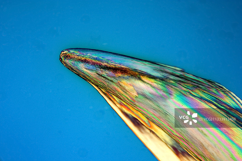 偏振光照明下含刀片补偿石膏和云母，放大倍数X30图片素材