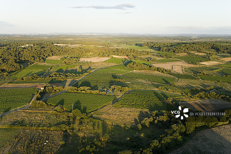 埃罗省博内利鹰的栖息地图片素材