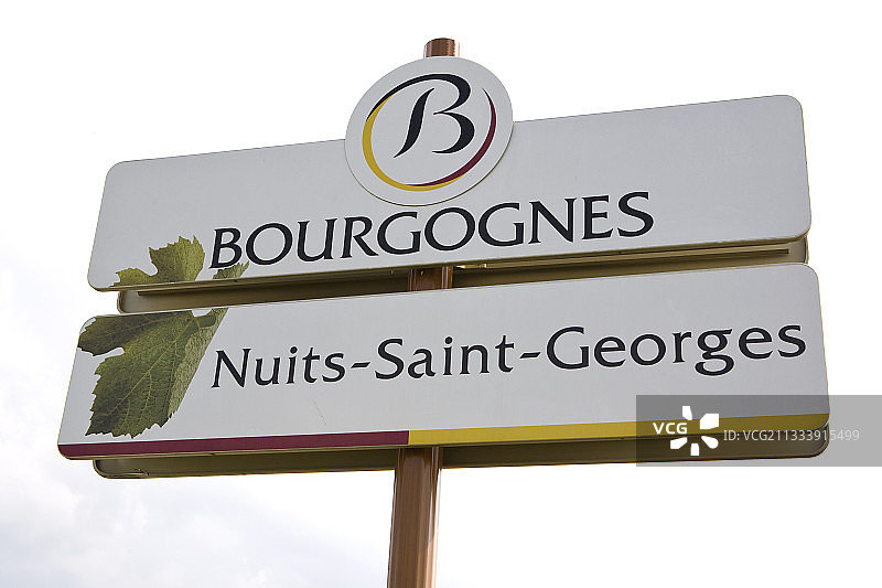 法国勃艮第葡萄酒品鉴会图片素材