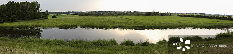 荷兰哈尔屈洛夏季黄昏池塘图片素材