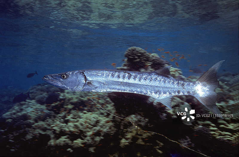 位置：安加罗什图片素材