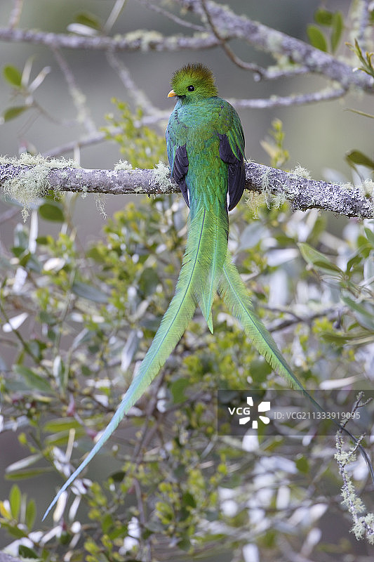 圣赫拉尔多死亡山。图片素材
