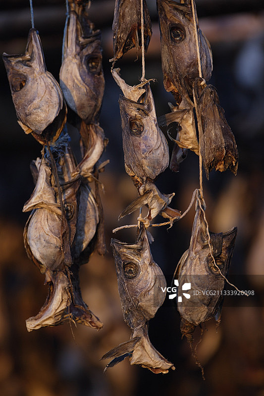 冰岛韦斯特曼群岛晾晒的鱼图片素材