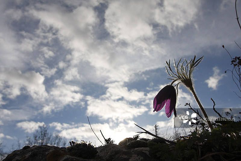 位置：罗森维勒图片素材