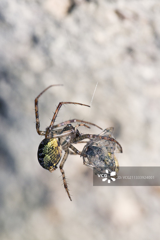 地点：博鲁塔的罗卡乌拉里洞穴图片素材