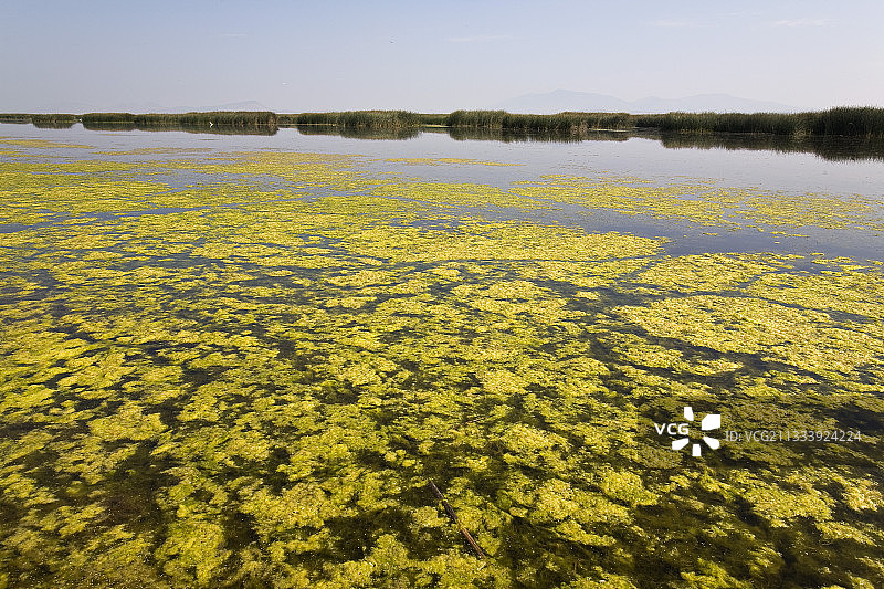 克拉马斯湖国家野生动物保护区，美国加利福尼亚州图片素材