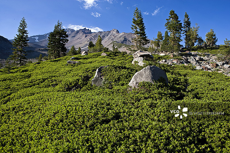 沙斯塔山，美国加利福尼亚州喀斯喀特山脉图片素材