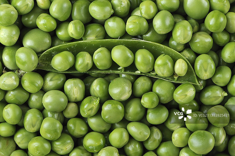 七月豌豆荚图片素材