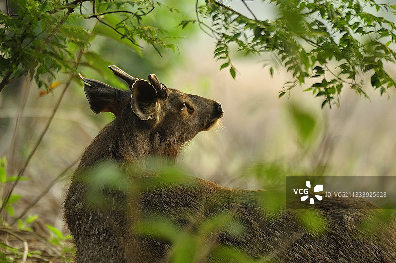2008年5月图片素材