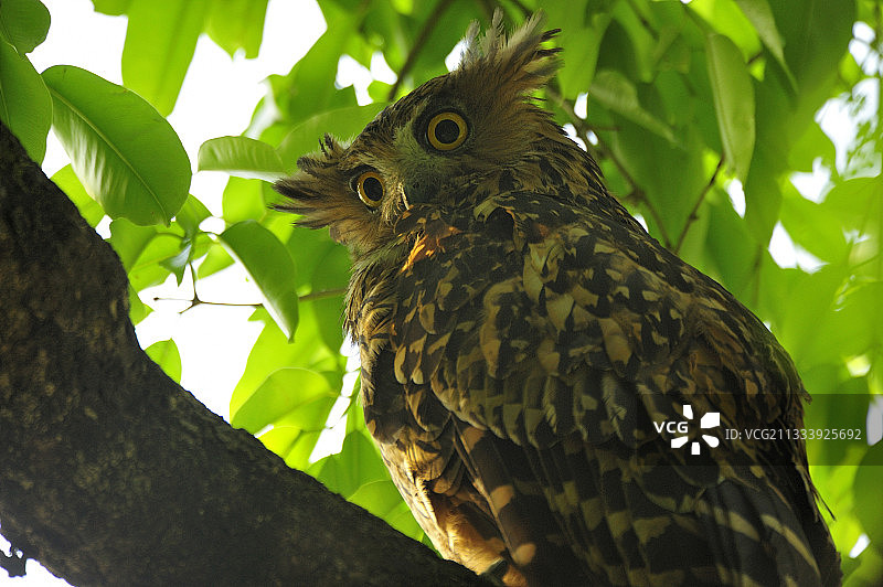 2008年5月图片素材