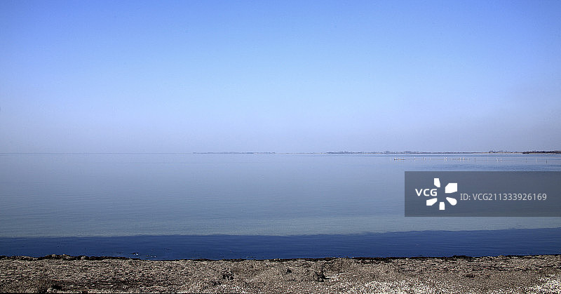 法国卡马格无风冬季池塘图片素材