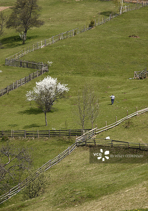 罗马尼亚阿普塞尼山脉的农业景观图片素材