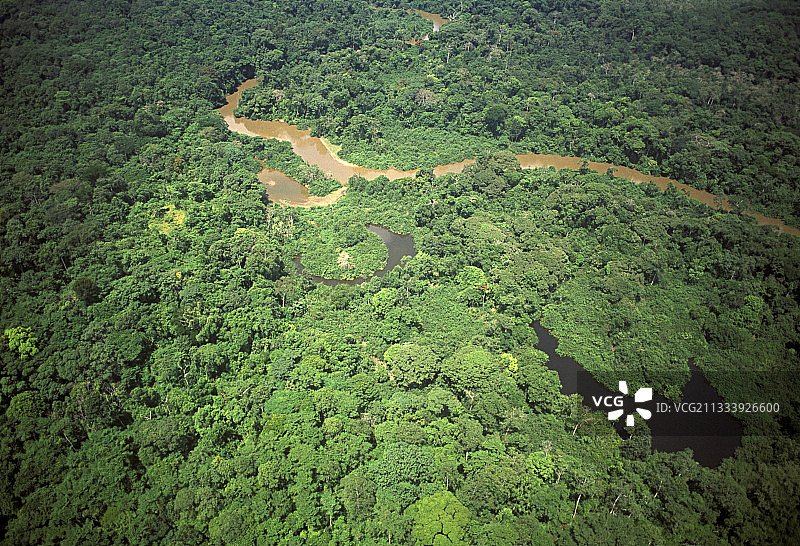 冈巴保护区森林航拍图片素材