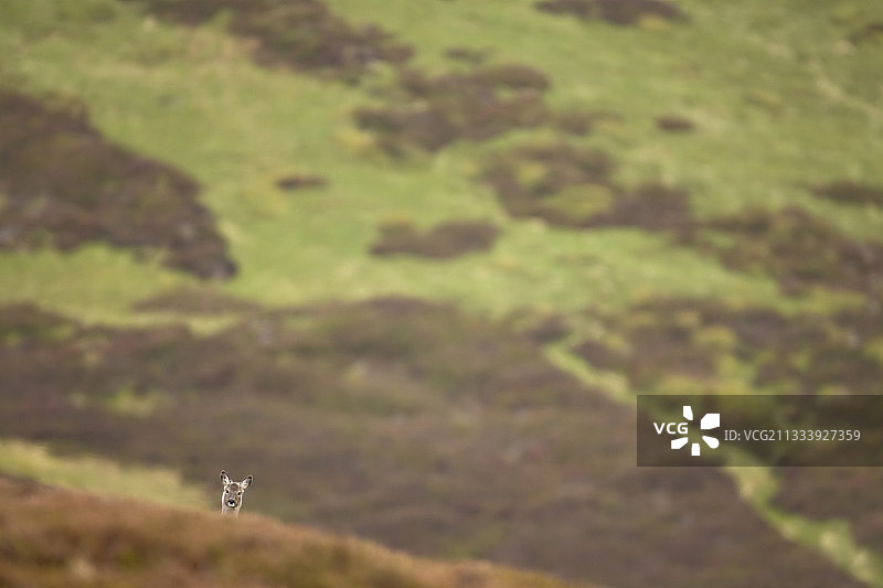 位置：梯子山图片素材